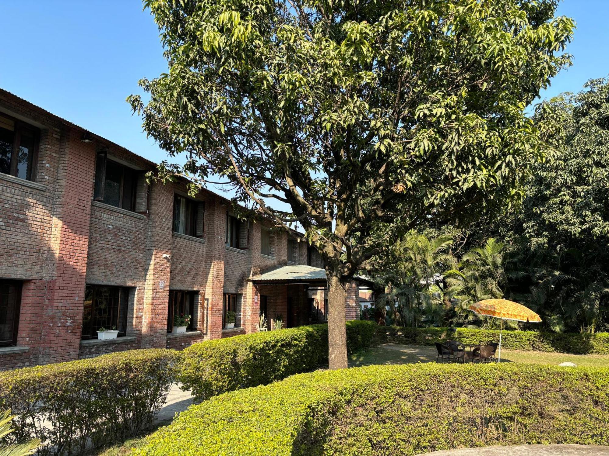 데라둔 The Cocoon B&B 외부 사진